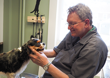 Windsor Animal Clinic pet parasite control