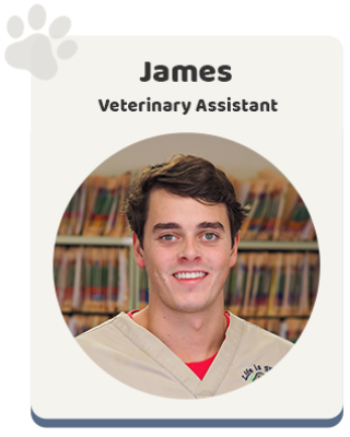 Windsor Animal Clinic - Veterinary Assistant James