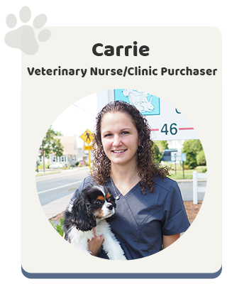 Windsor Animal Clinic Veterinary Nurse Carrie
