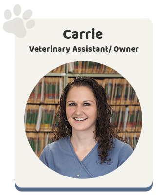 http://thewindsoranimalclinic.com/wp-content/uploads/2025/04/carrie-2025-320x400.png